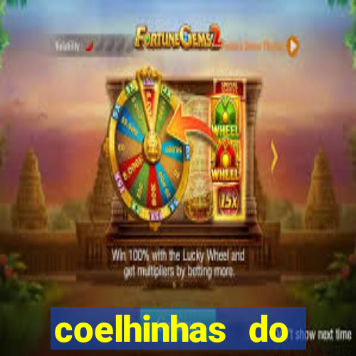 coelhinhas do brasil jp